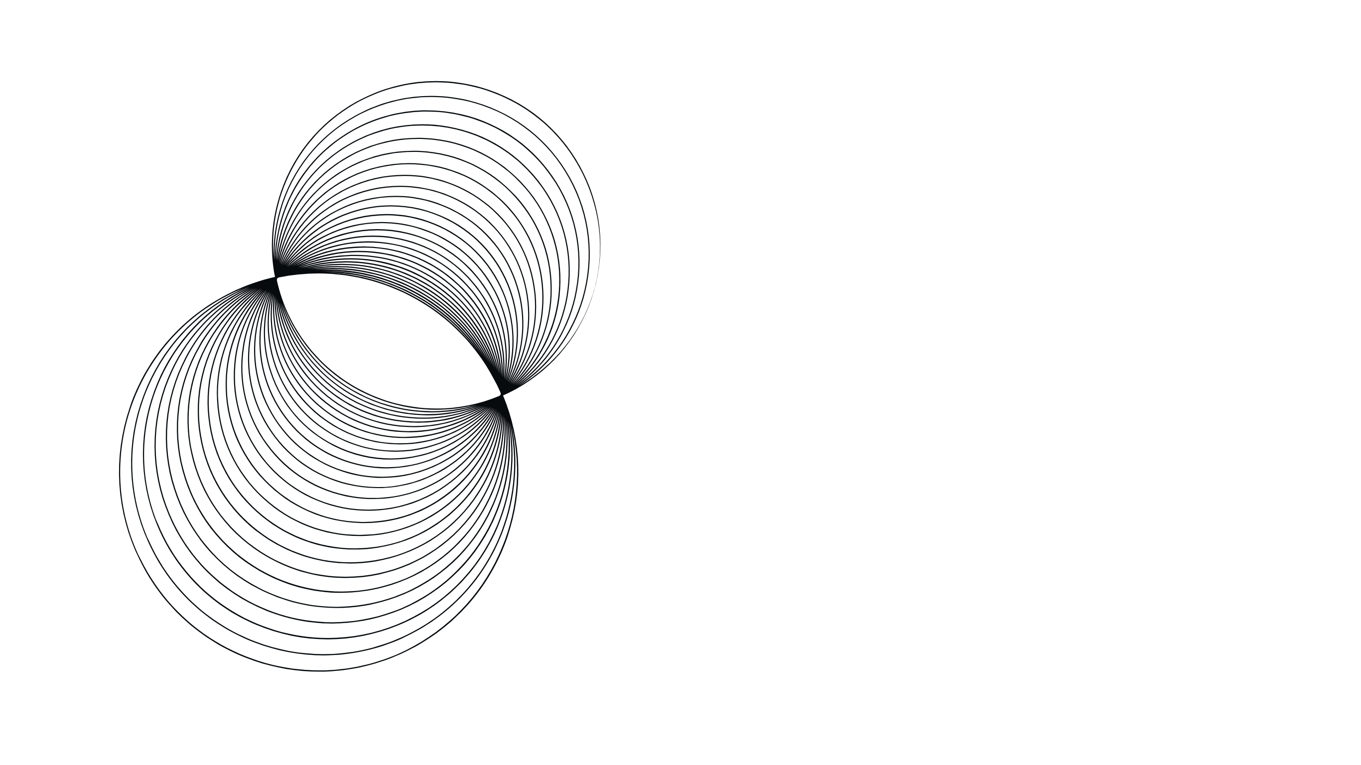 Network architecture visualization